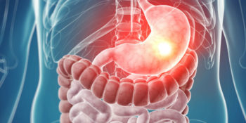 Echographe Pour Gastroentérologue / Gastroentérologie